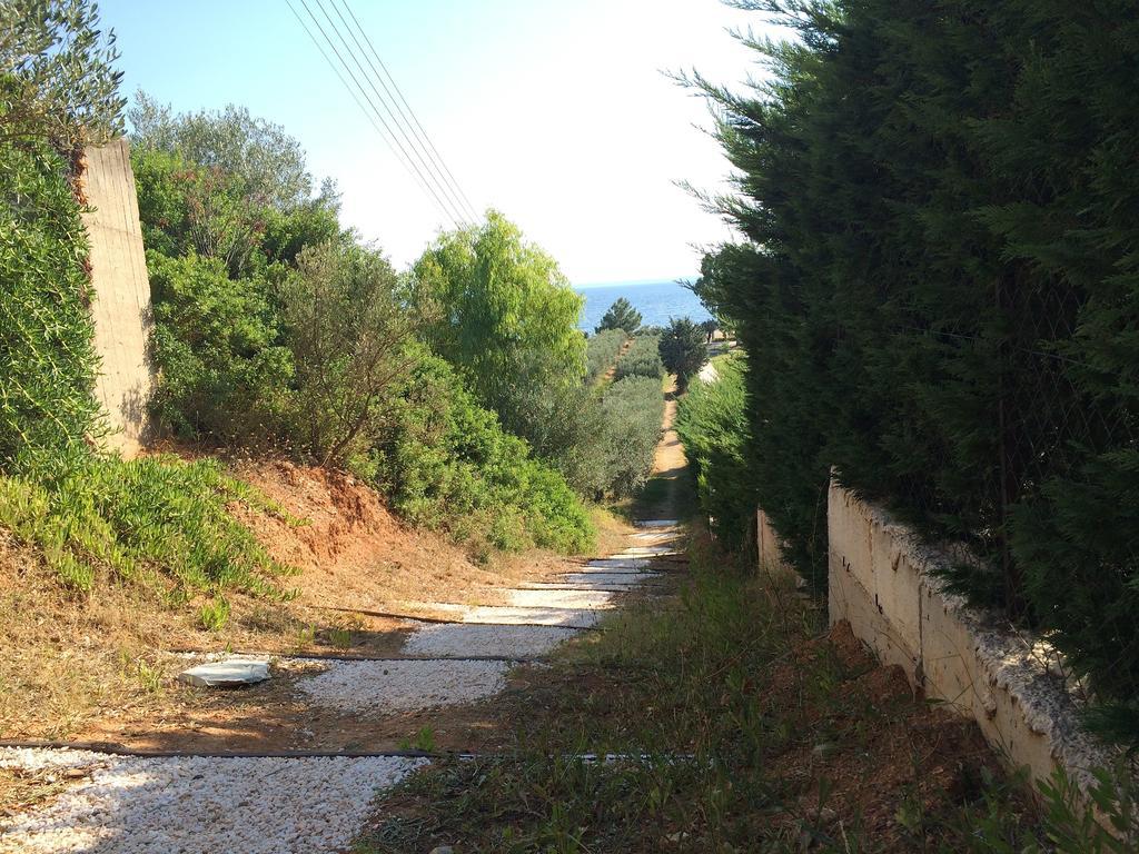 Kostas House Lägenhet Gerakini Rum bild